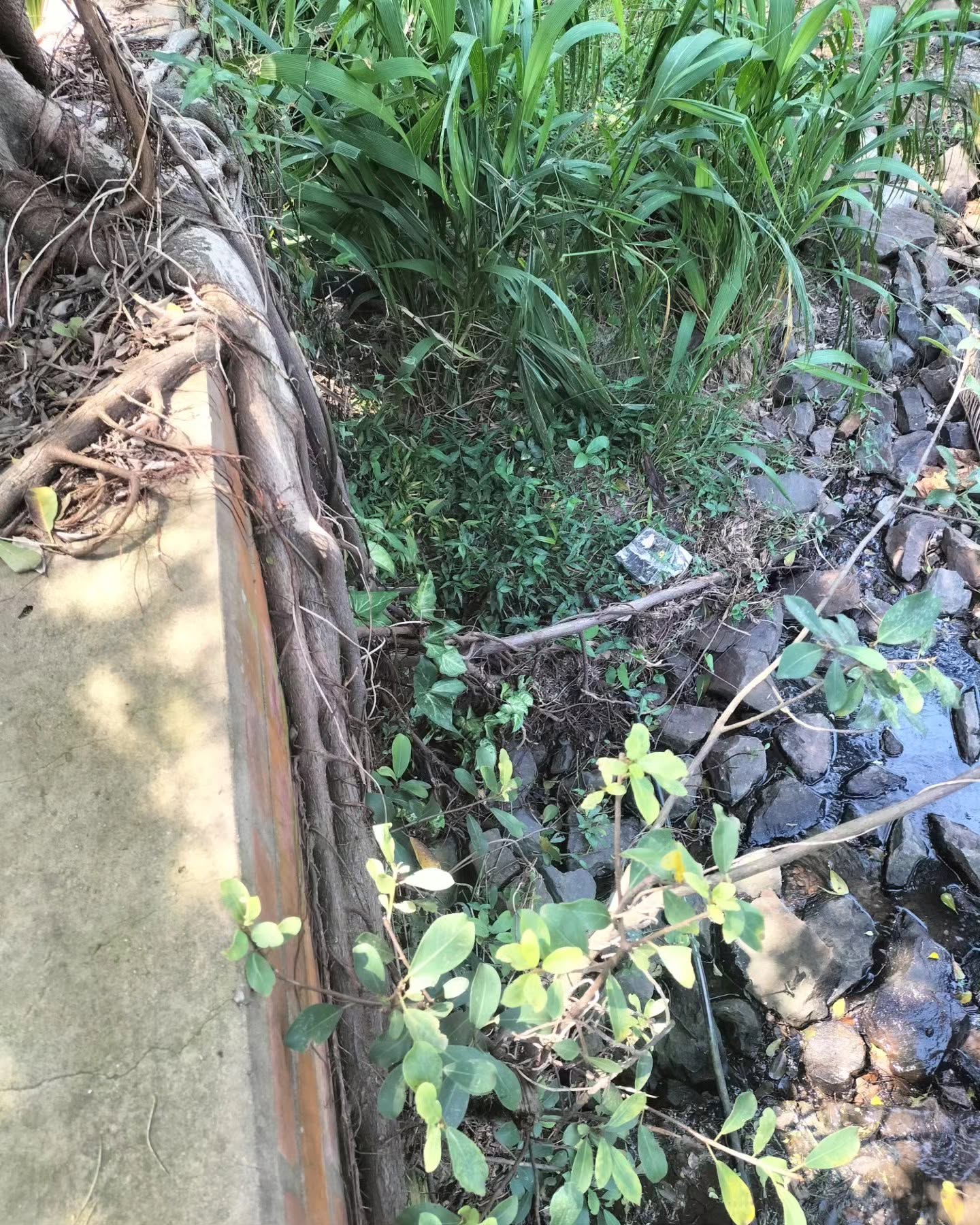Stormwater trenching and pipe laying